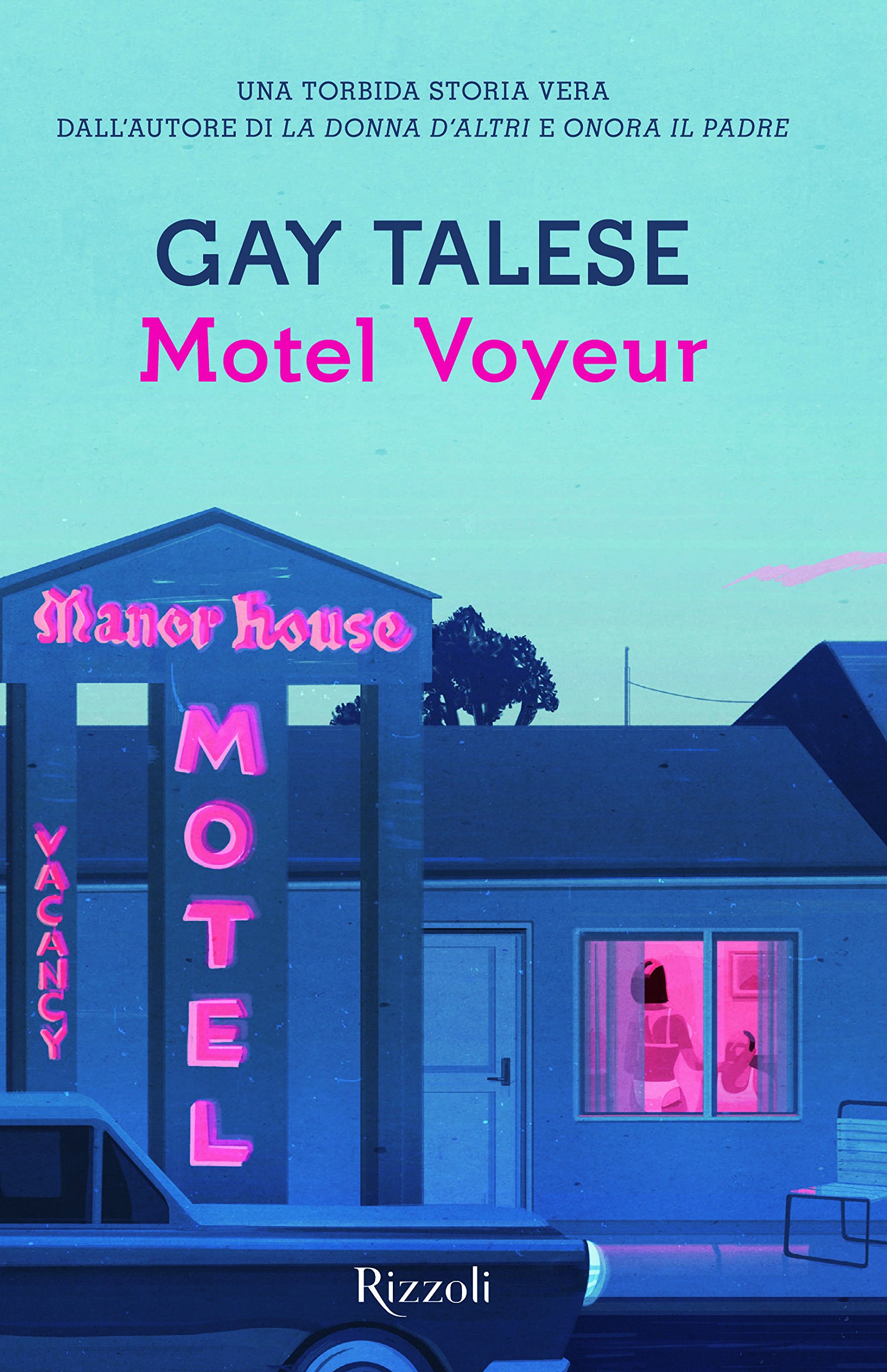 Motel Voyeur Book Cover