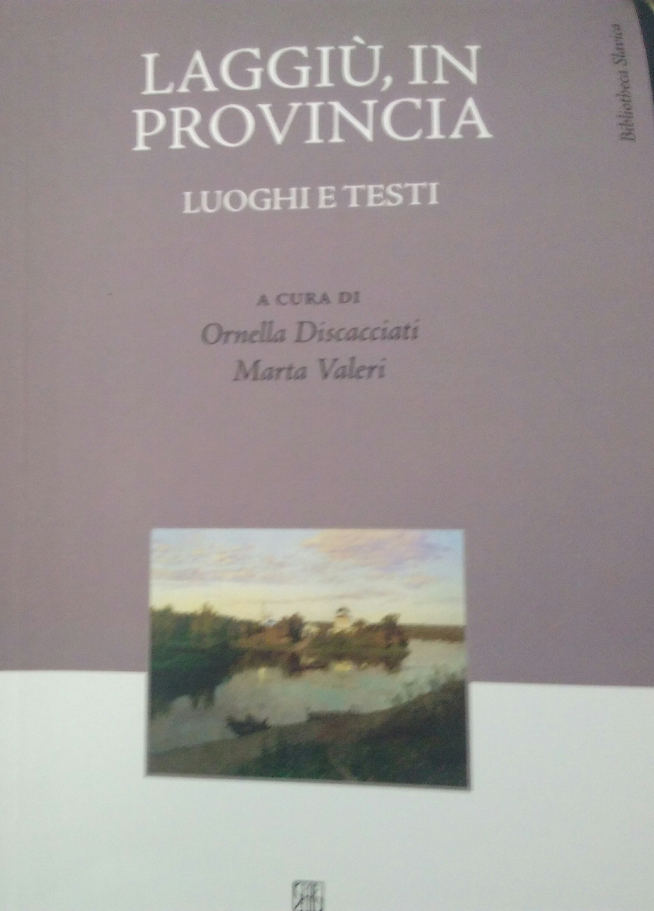 Laggiù in provincia. Luoghi e testi Book Cover