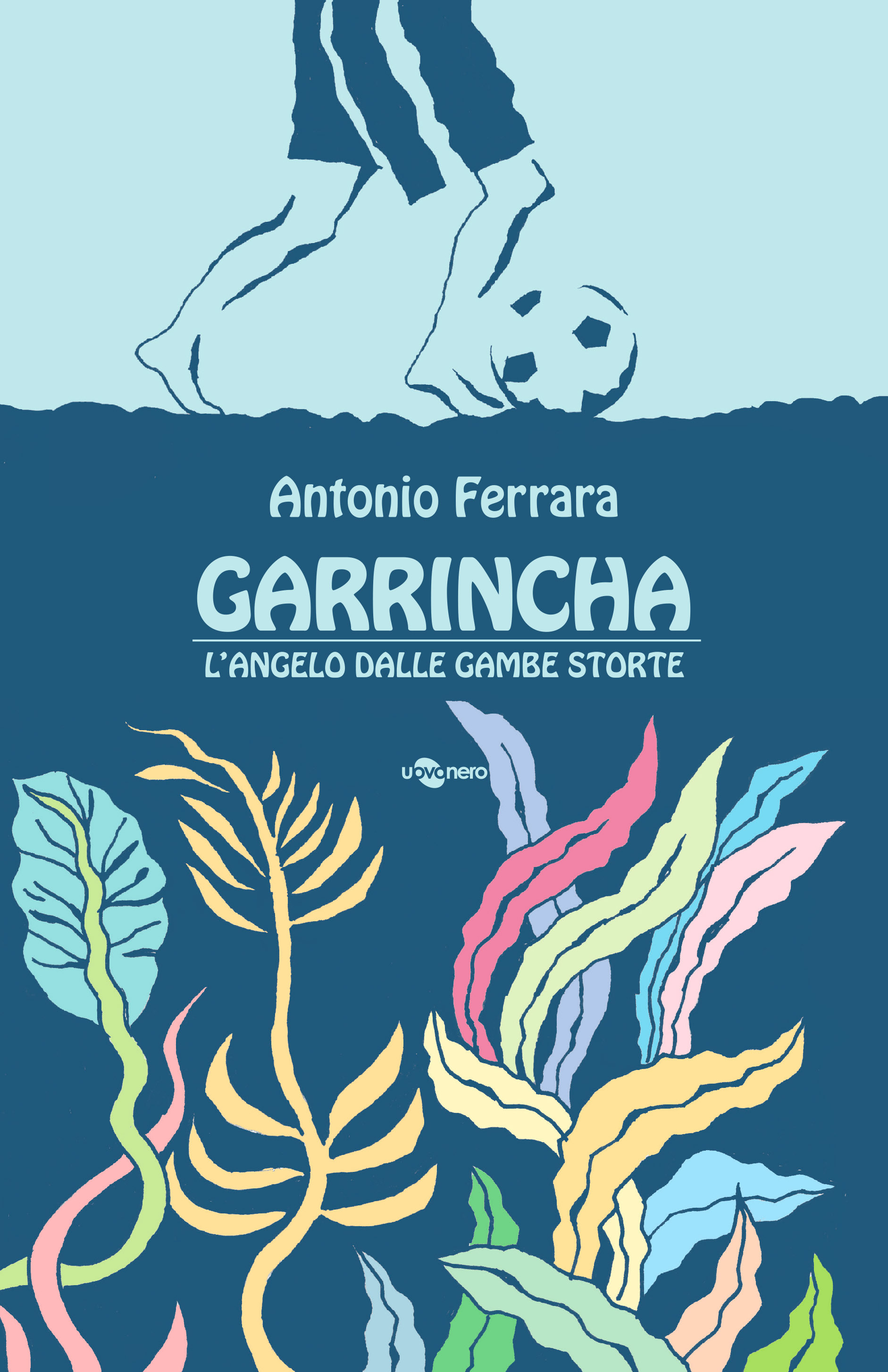 Garrincha, l'angelo dalle gambe storte Book Cover