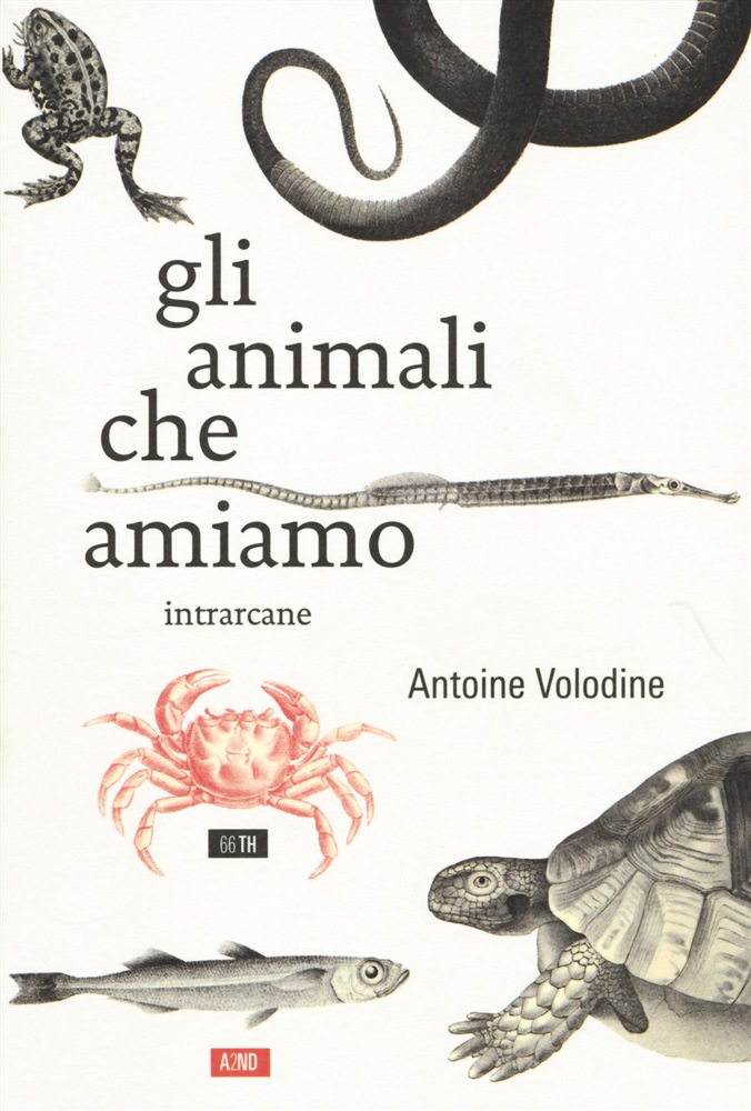 Gli animali che amiamo Book Cover