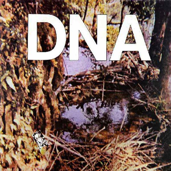 A Taste of DNA Book Cover