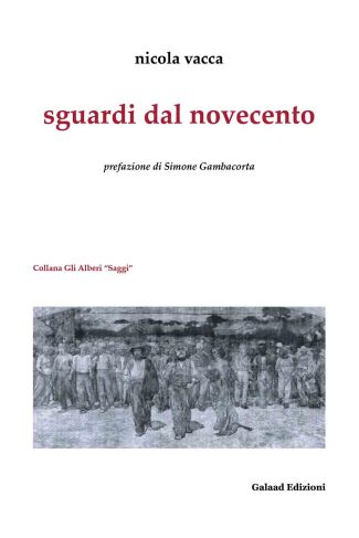 Sguardi dal Novecento Book Cover