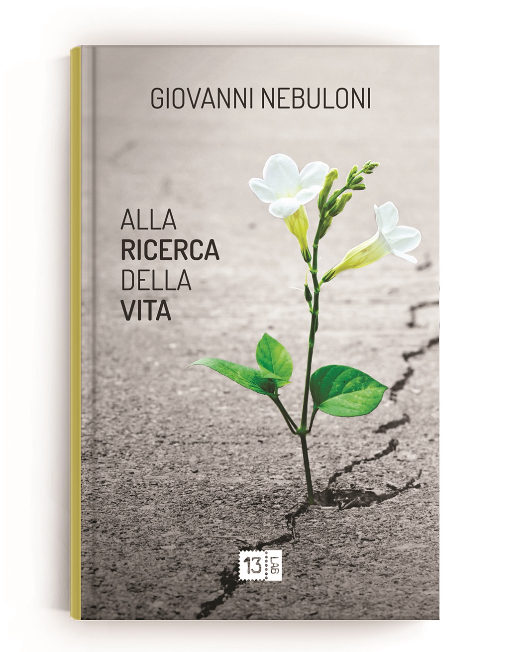 Alla ricerca della vita Book Cover