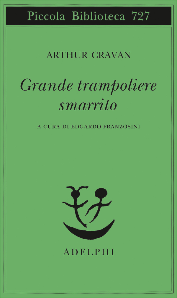 Grande trampoliere smarrito Book Cover