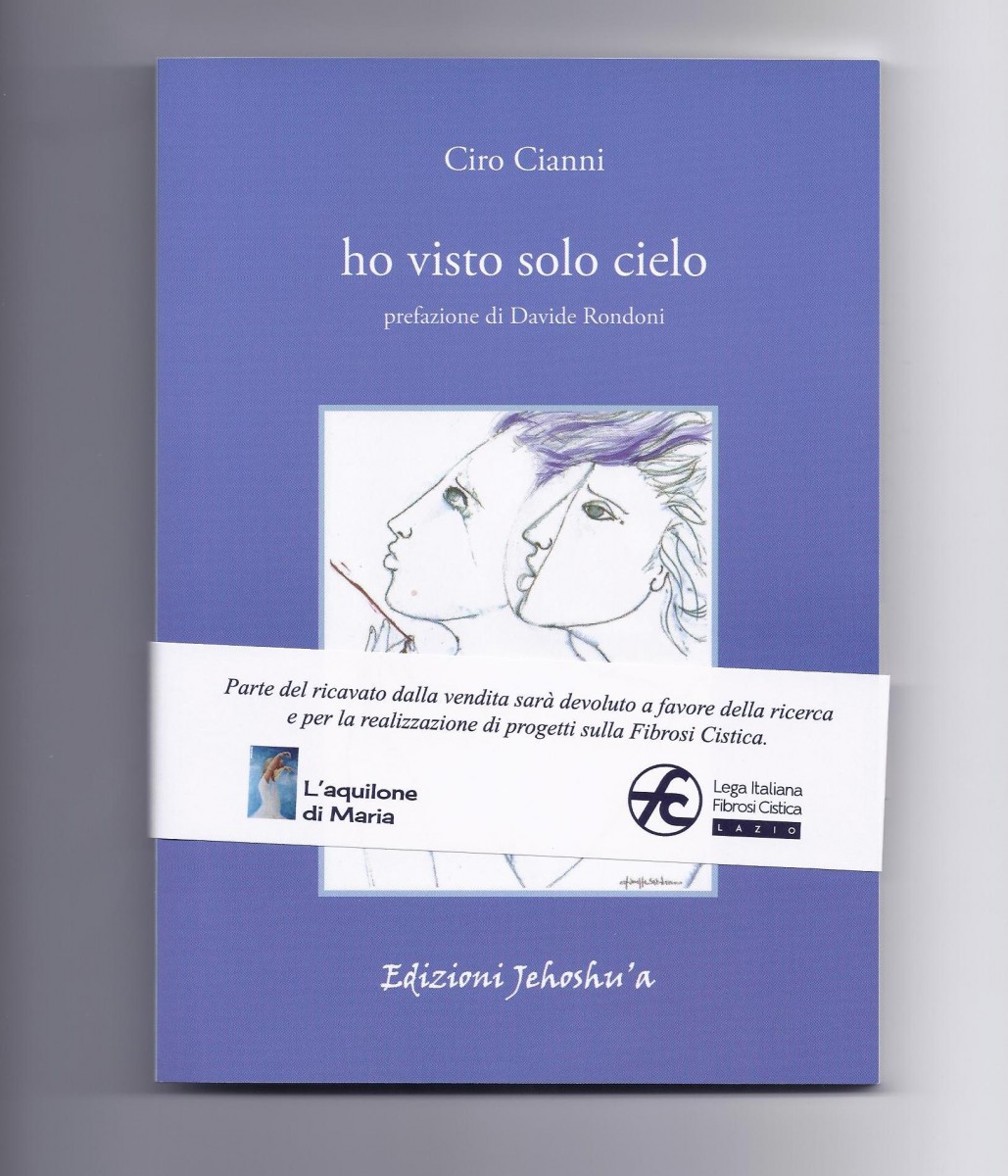 Ho visto solo cielo Book Cover