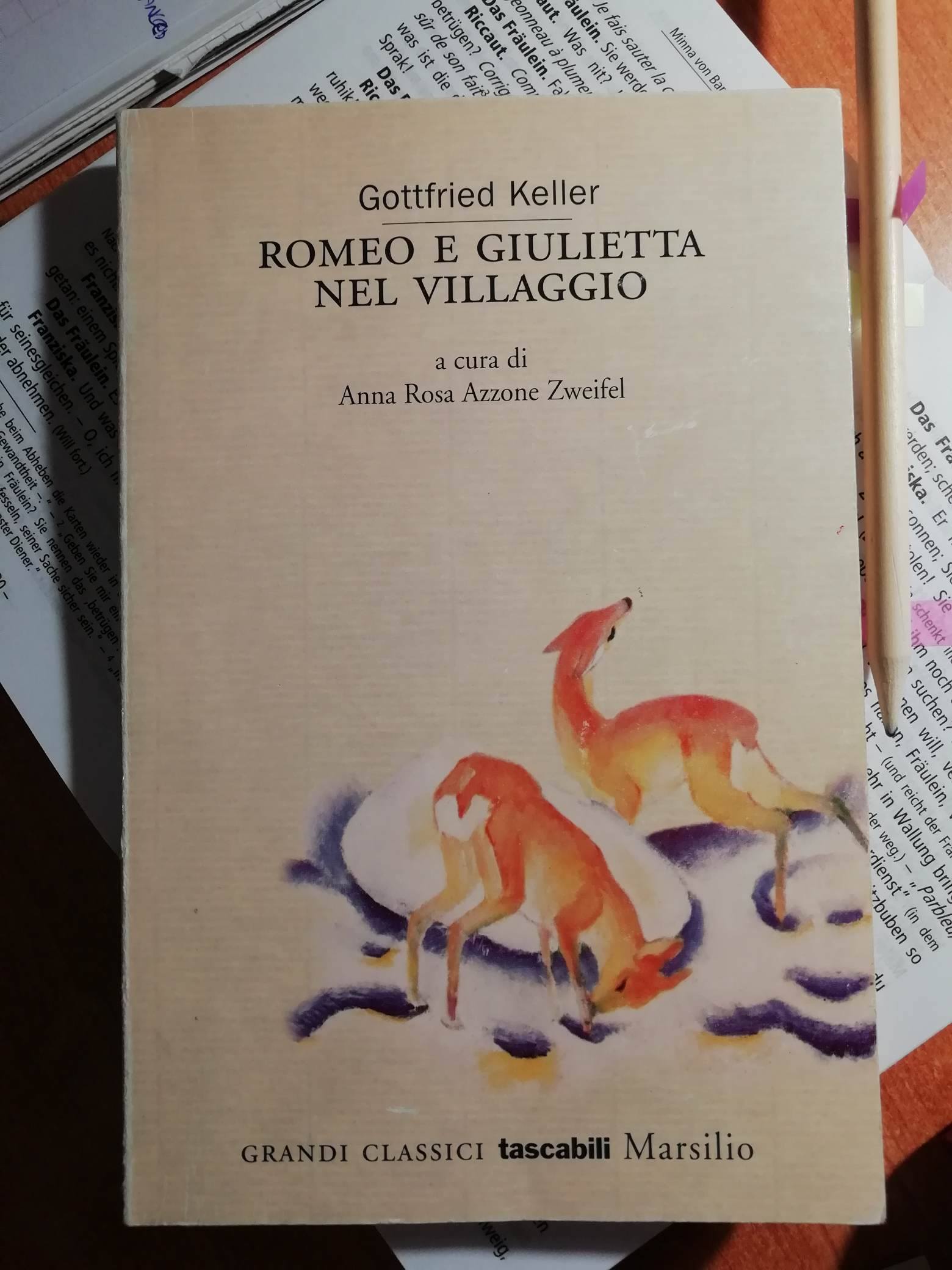 Romeo e Giulietta nel villaggio Book Cover