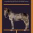 Il cavallo di Aguirre. Un incontro mai avvenuto con Werner Herzog Book Cover