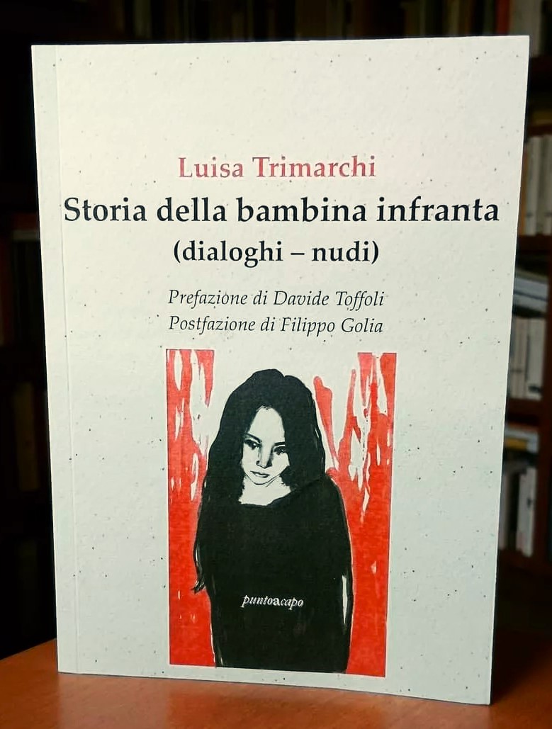 Storia della bambina infranta (dialoghi-nudi) Book Cover